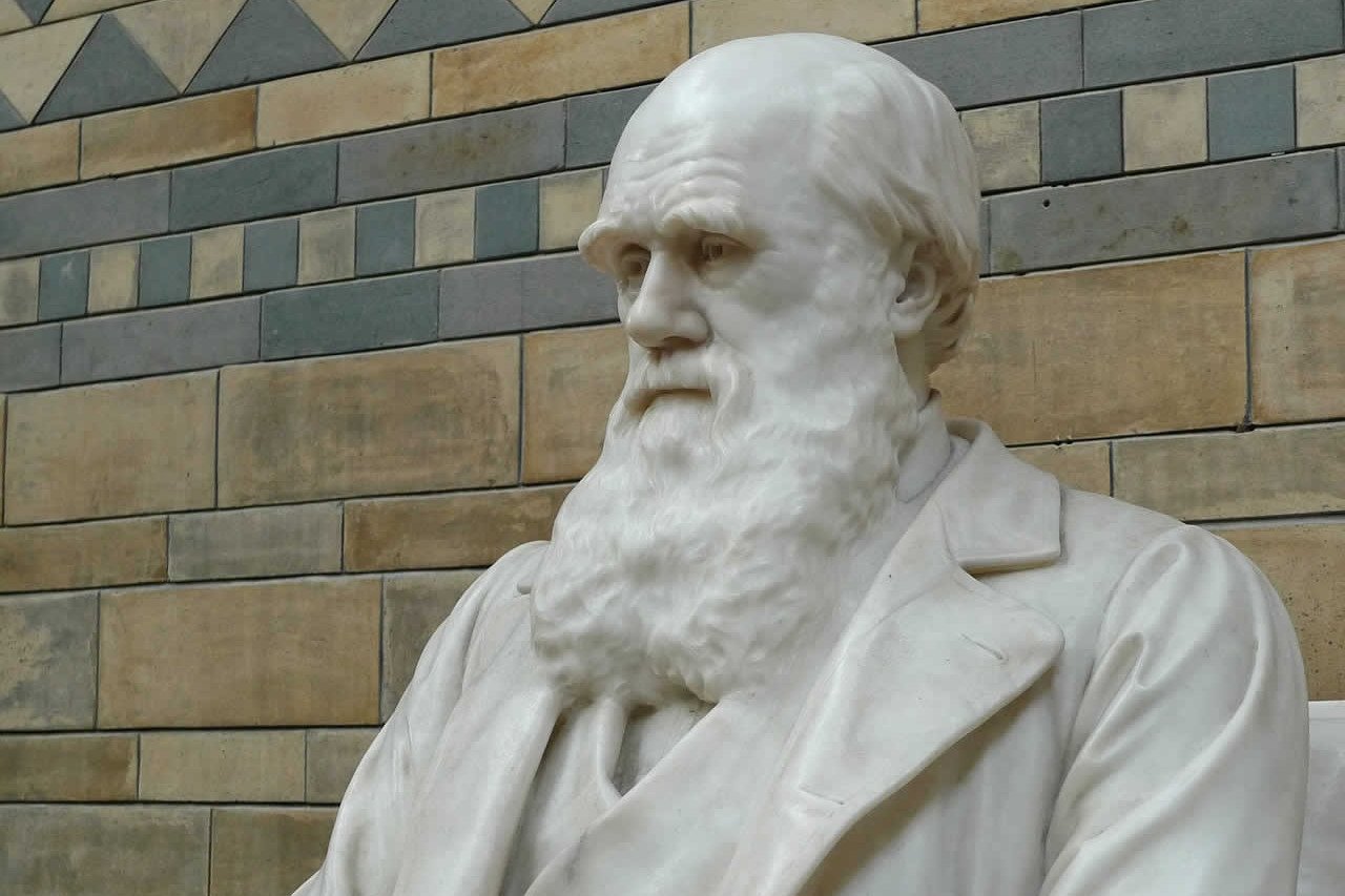 12th February 2024 Darwin Day HD Photos
